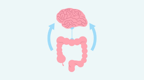 Gut-Brain-Axis-And-Coffee-Enemas