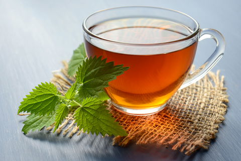 Why-People-Drink-Nettle-Tea