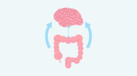 Gut-Brain-Axis-And-Coffee-Enemas