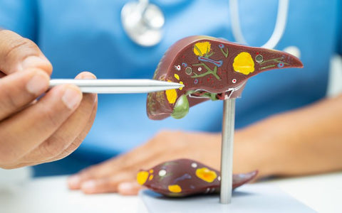 Let’s-Talk-About-Fatty-Liver