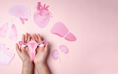 How-To-Support-Menopause-and-Perimenopause-Through-Gut-Health