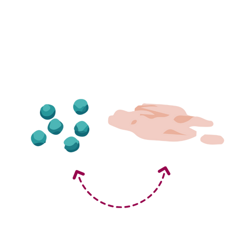 IBS-Symptoms